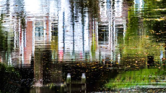 Expositie Droomsingel